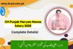 CM Punjab Salary in Pakistan 2025 Complete Details