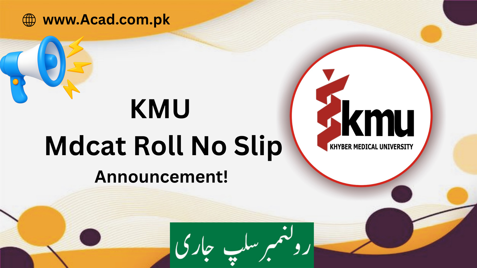 KMU Mdcat Roll No Slip 2025 Admit Card Download PDF