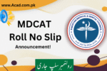 MDCAT Roll No Slip 2025 Held On 26 October – Download Admit Card Online