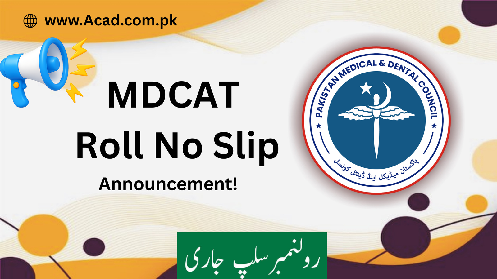 MDCAT Roll No Slip 2025 Held On 26 October – Download Admit Card Online
