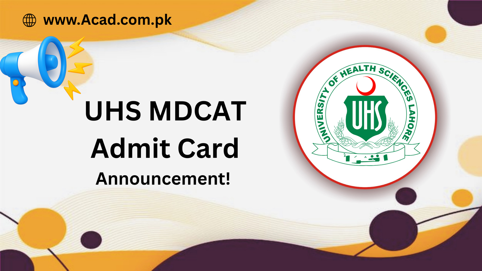 UHS Mdcat Roll No Slip 2025 Admit Card Download PDF